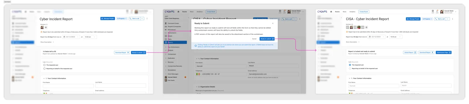 Report submission flow